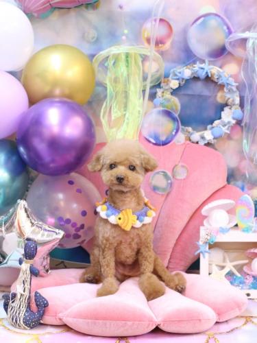 20240821ノアちゃん